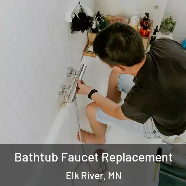  Bathtub Faucet Replacement Elk River, MN