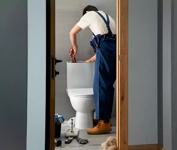 Professional Plumbers for Toilet Bowl Replacement in Elk River, MN: Schedule Affordable Toilet Replacement Services With Us
