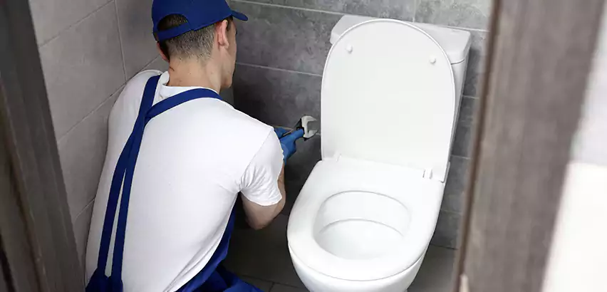 Toilet Lid Replacement in Elk River