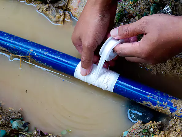  Why Choose Elk River Plumbers for Leak Detection in Elk River, MN?]