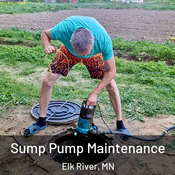  Sump Pump Maintenance Elk River, MN