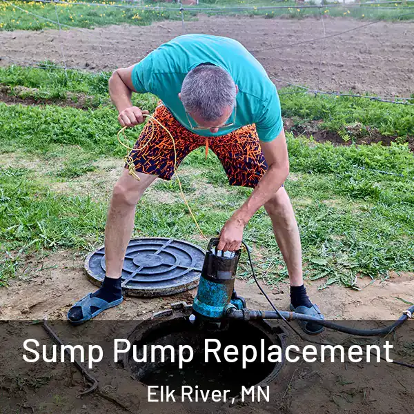  Sump Pump Replacement Elk River, MN