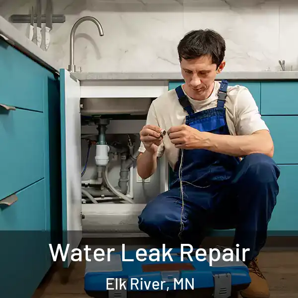  Water Leak Repair Elk River, MN